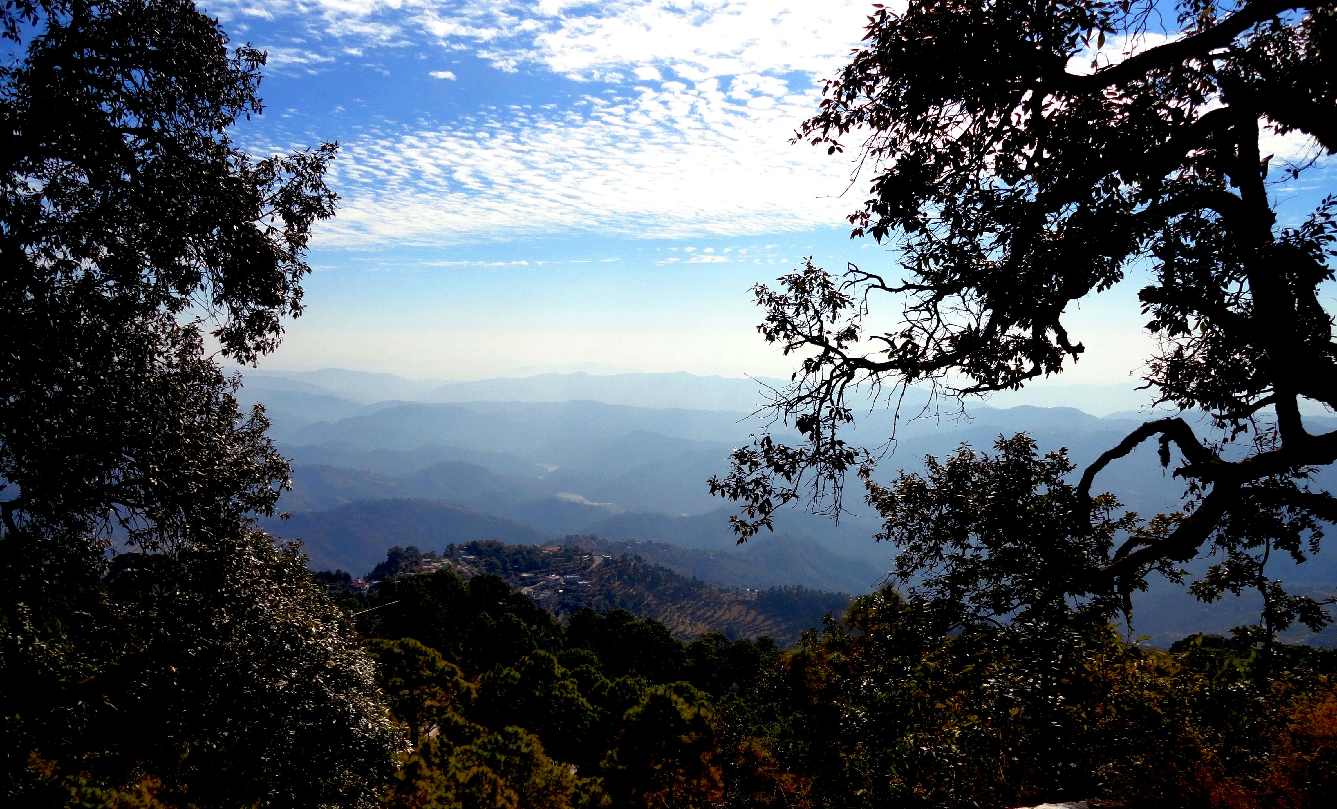 Forested ridge view near Lansdowne, Uttarakhand