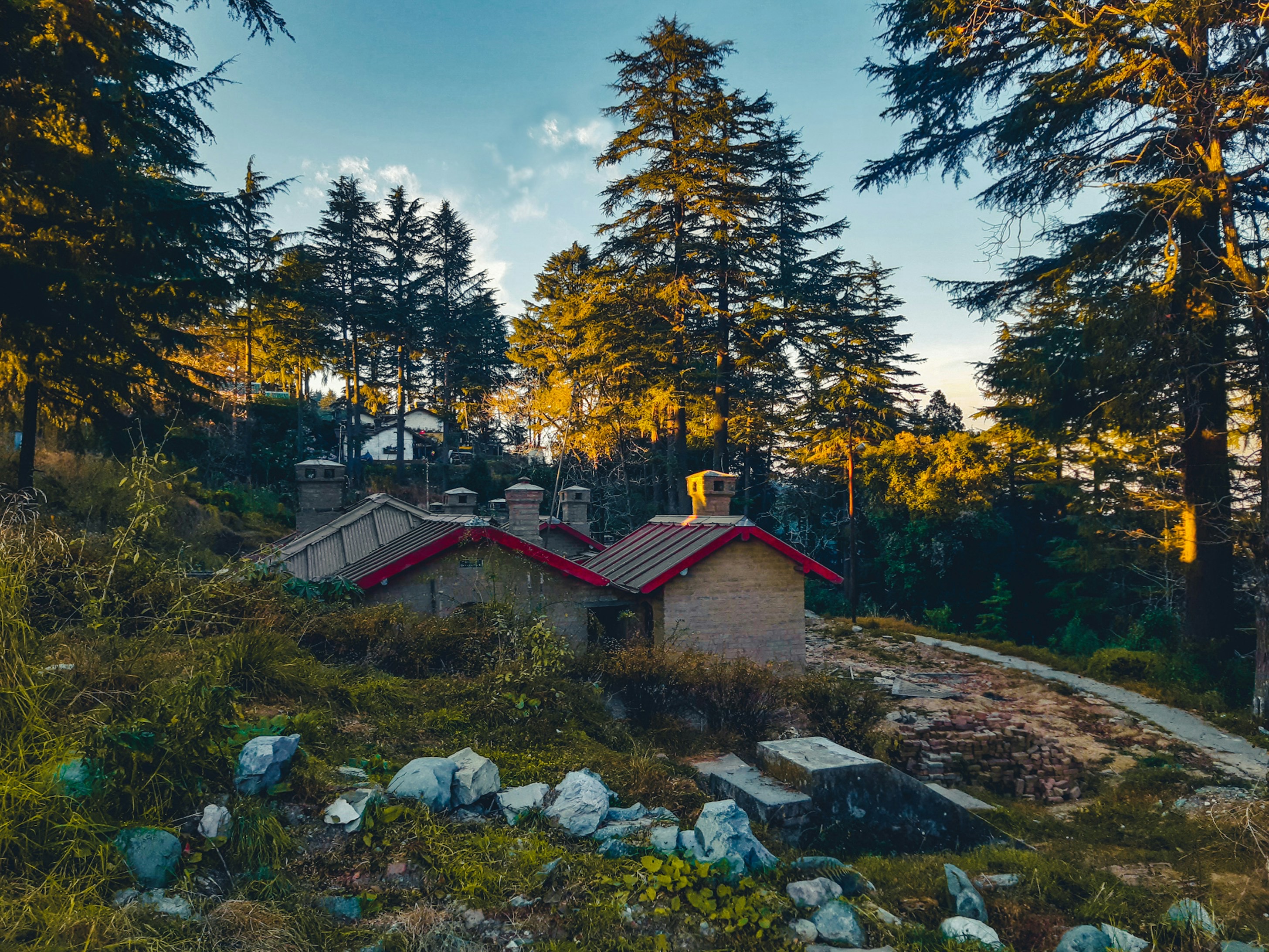 Himalayan panorama and fruit orchards near Mukteshwar