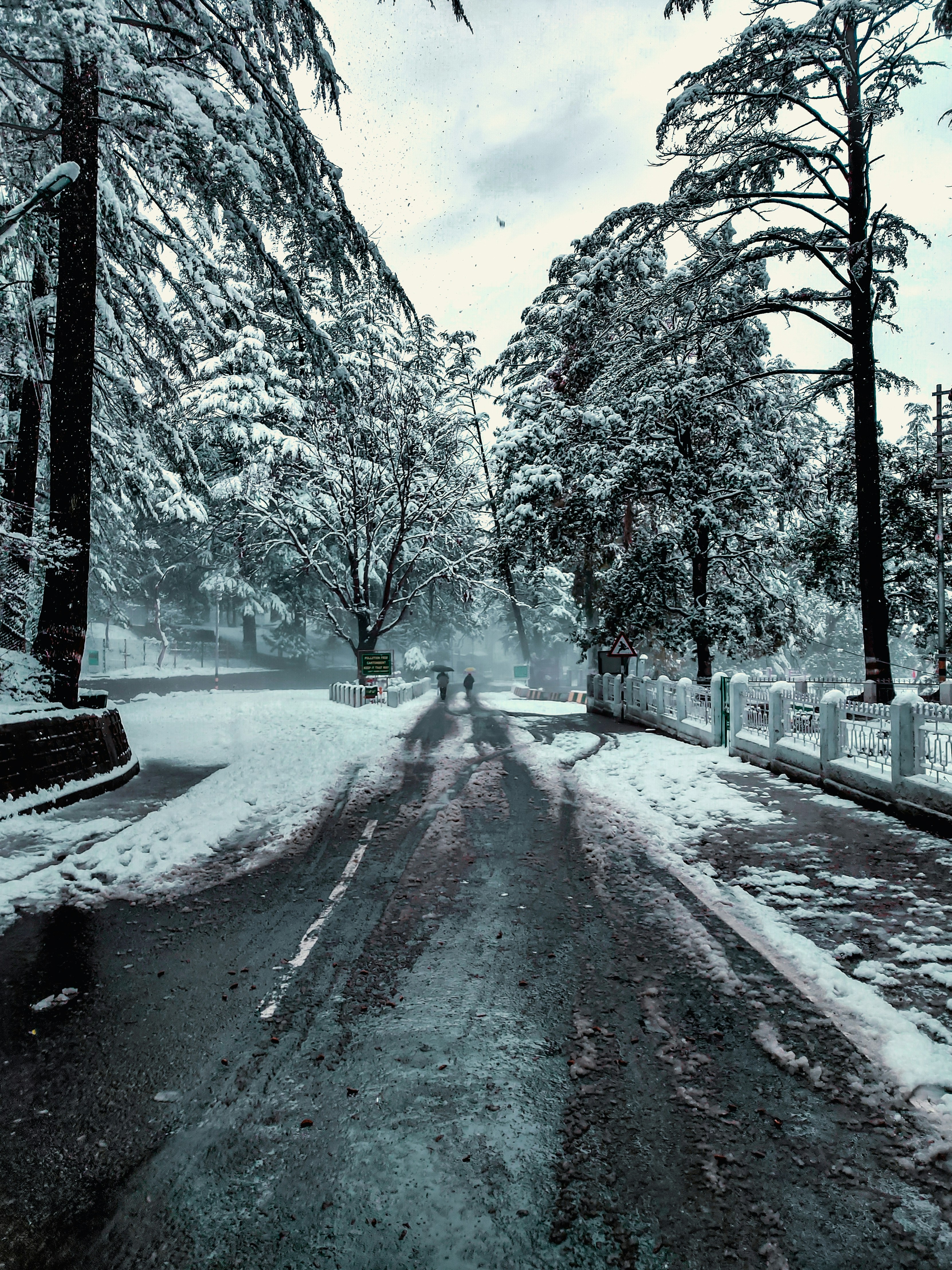 Himalayan snow peaks viewed from Ranikhet